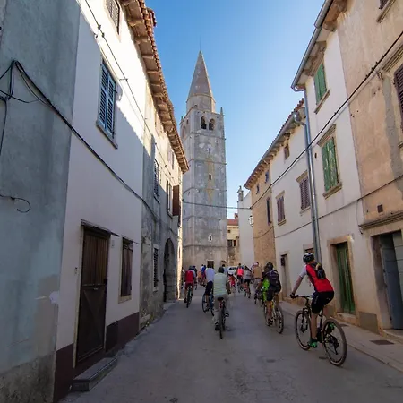 Bright With Garden And Balcony *